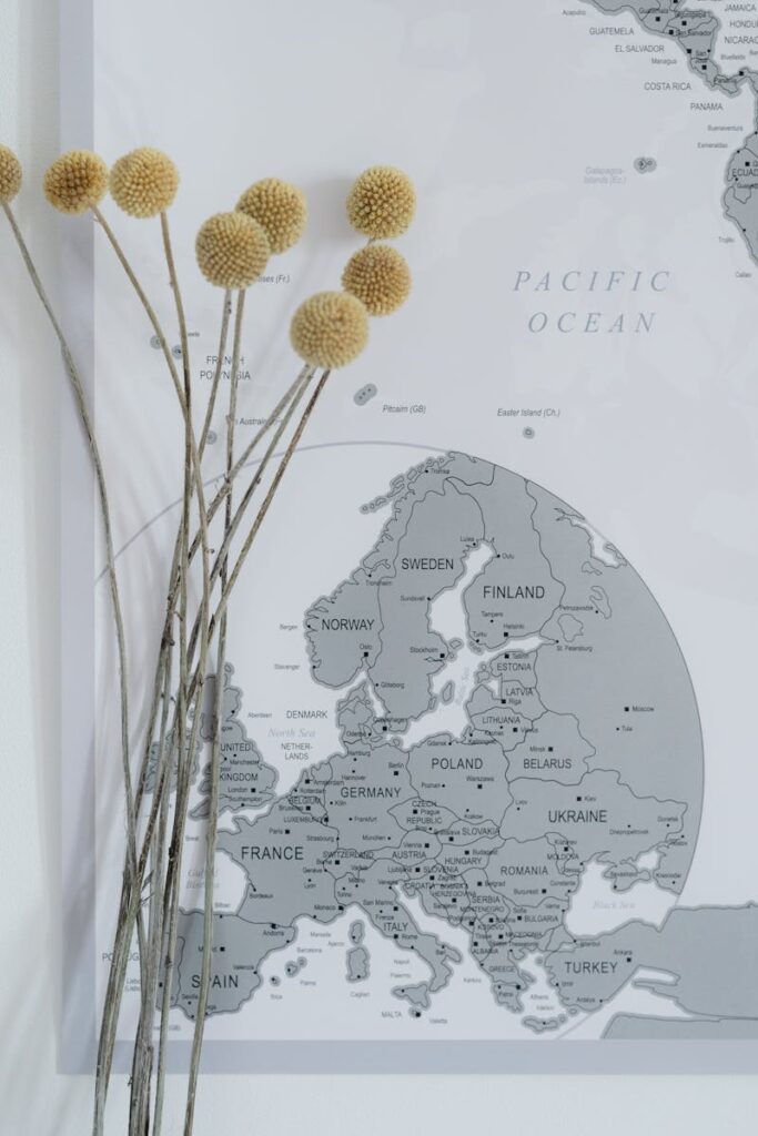 Minimalistic display of dried craspedia flowers next to a gray world map, adding a modern touch to interior decor.