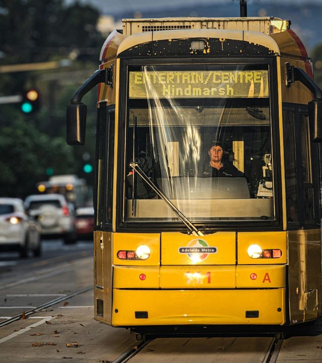 Front view of a yellow tram on a busy street in Adelaide, South Australia.